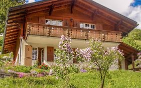 Holiday Home Chalet Reinhysi By Interhome